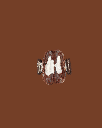 Oreo Cream Cheese